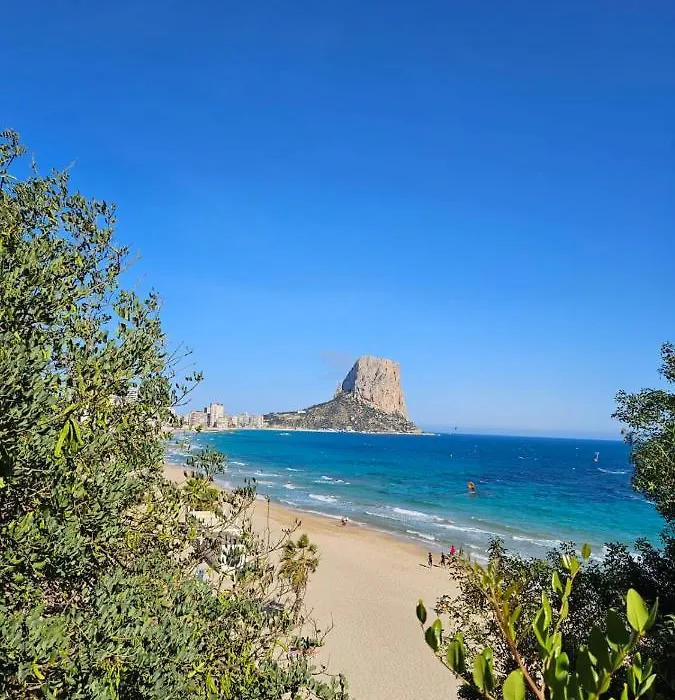 Espectacular Bajo Lirio-1