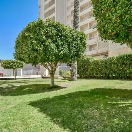 Homeincalpe Apolo XVI 2-11-52-2