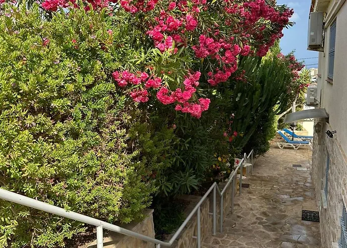 Apartamentos en la villa con el territorio común en Calpe