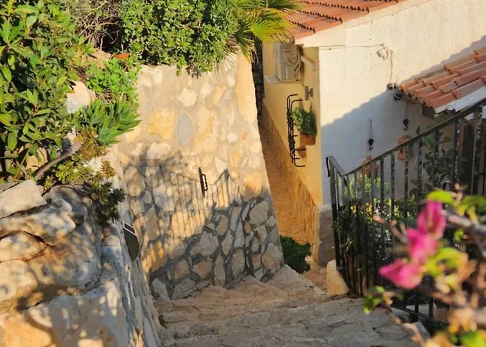 Laura Las Flores Calp